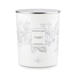 Collection Extraordinaire | Bougie parfumée Les Mimosas d'Hiver