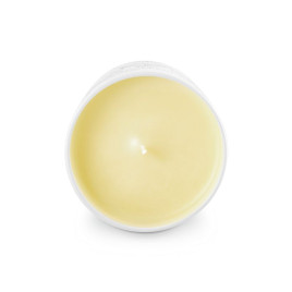 Collection Extraordinaire | Bougie parfumée Les Mimosas d'Hiver