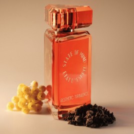 Aesthetic Turbulence | Eau de Parfum