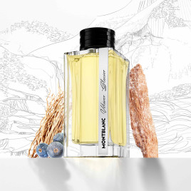 Vetiver Glacier | Eau de Parfum