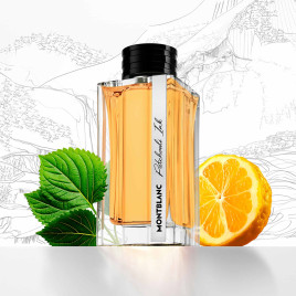 Patchouli Ink | Eau de Parfum