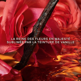 Shalimar Millesime Rose | Eau de Parfum