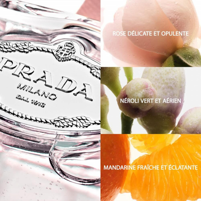 Les Infusions de Prada - Rose|  Eau de Parfum