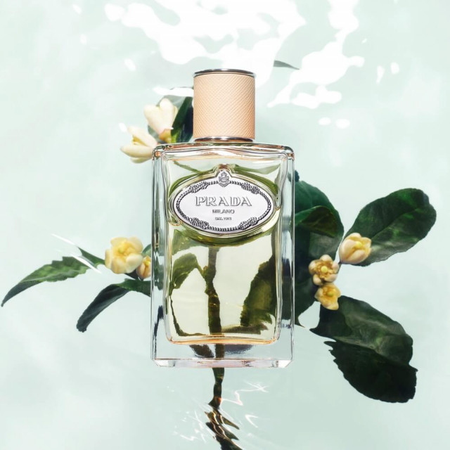 Les Infusions de Prada - Fleur d'Oranger | Eau de Parfum