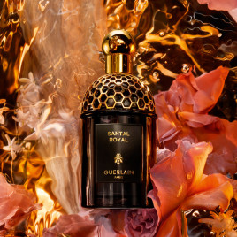 Absolus Allegoria Santal Royal | Eau de Parfum