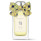 Vaporisateur 100 ml