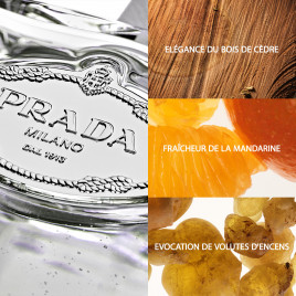 Les Infusions de Prada - Cèdre | Eau de Parfum