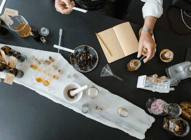 Quel parfum choisir selon les différentes notes olfactives et les familles olfactives ?