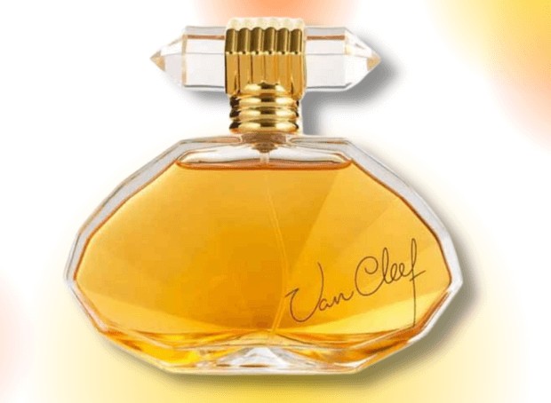 Van Cleef Femme* Discontinué - Nos alternatives