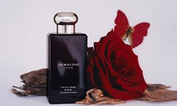 Cologne Intense