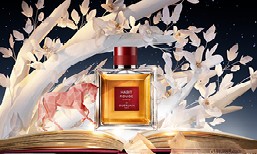 Les Parfums pour Homme